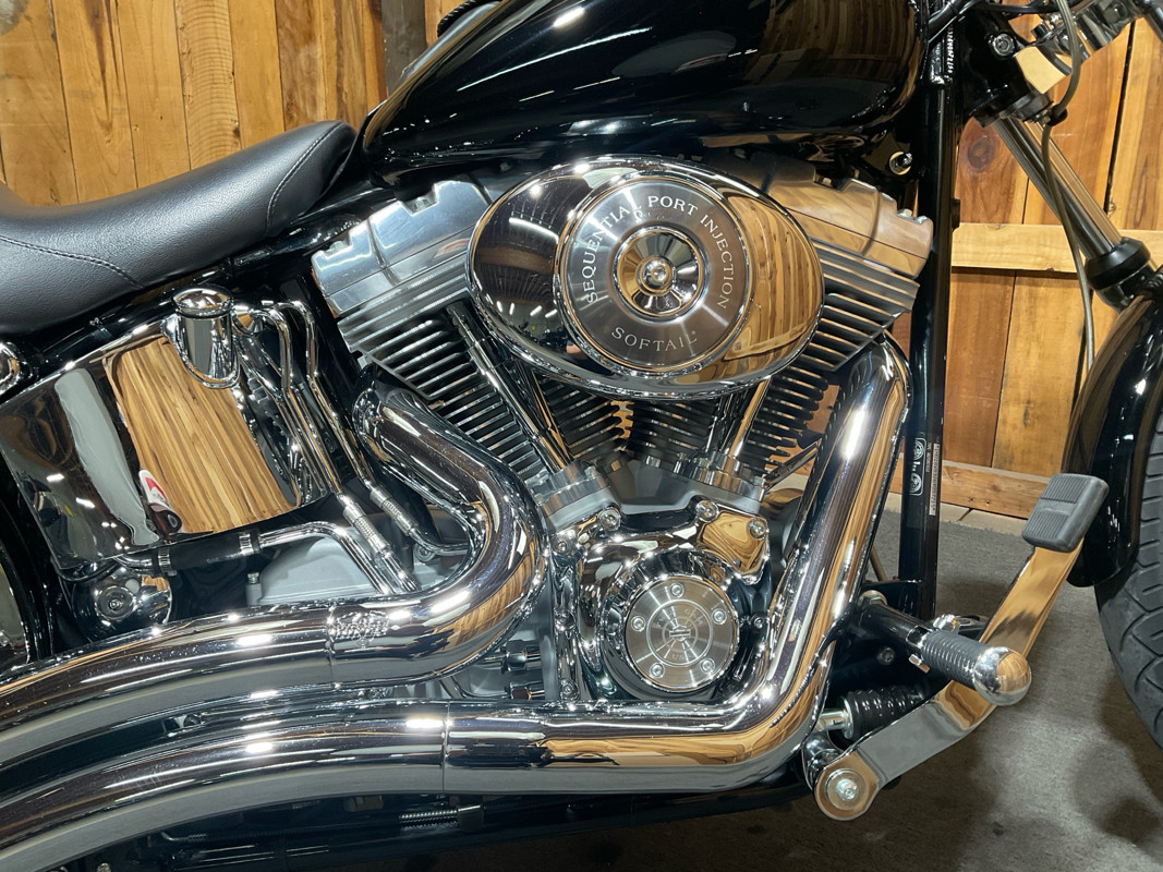 Softail® Standard