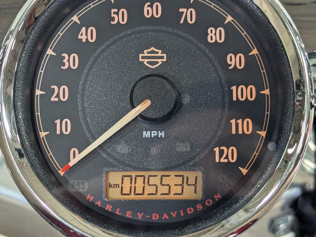Sportster® 1200 Custom