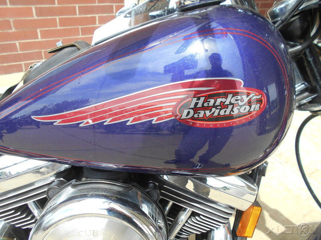 Softail® Standard