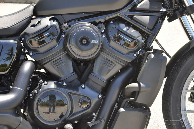 Nightster Special
