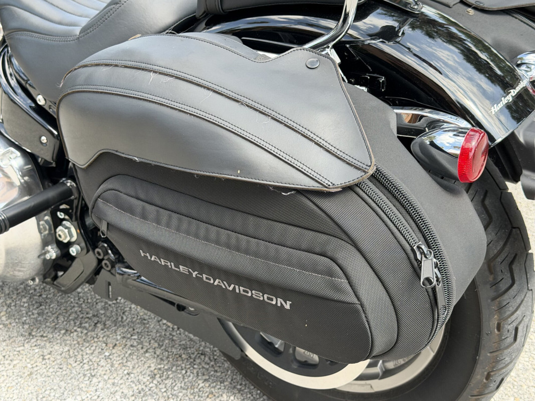 Softail® Standard