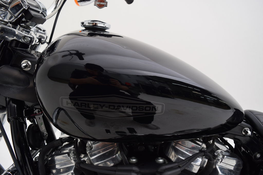 Softail® Standard