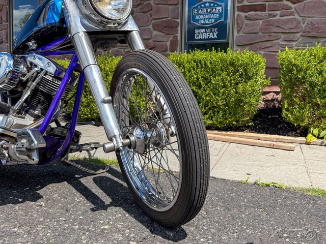 Electra Glide® Police