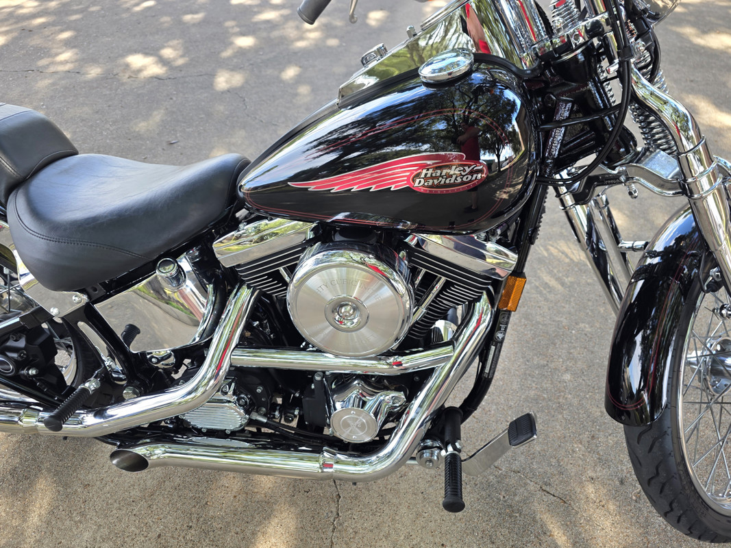 Springer® Softail®