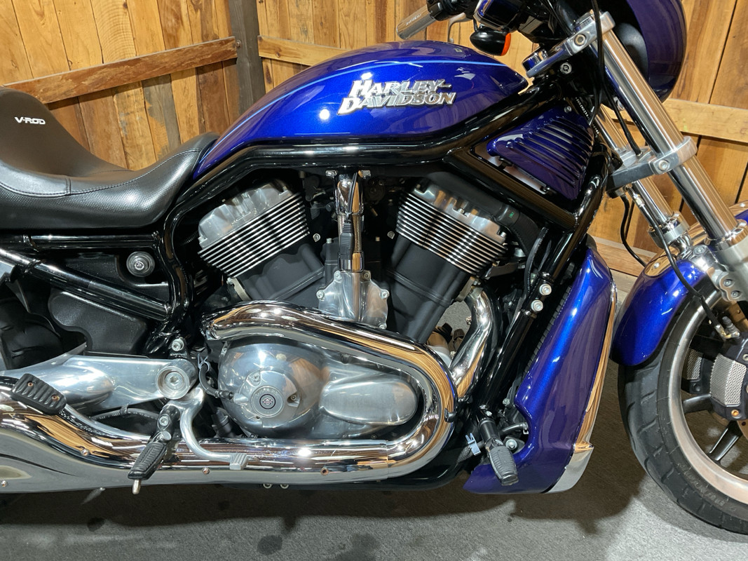 V-Rod®