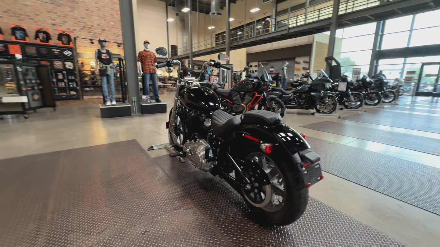Softail® Standard