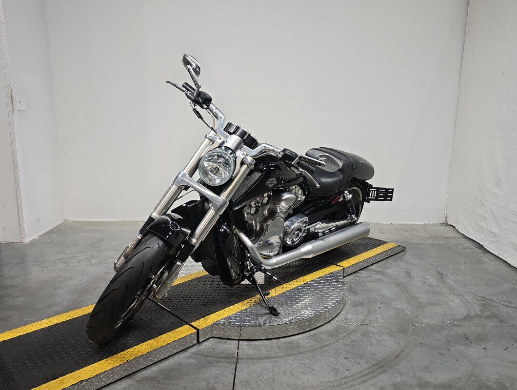 V-Rod® Muscle