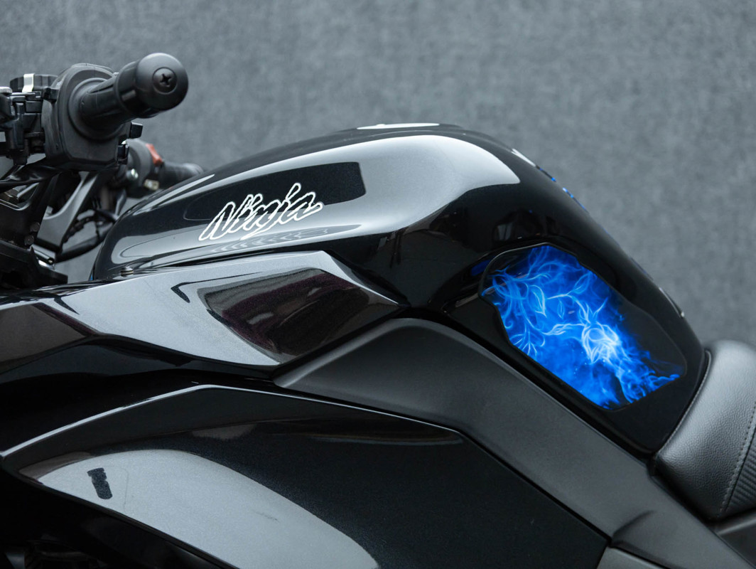 Ninja® 1000 ABS