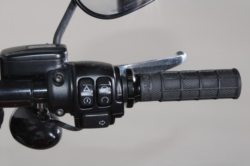 Street Bob® 114