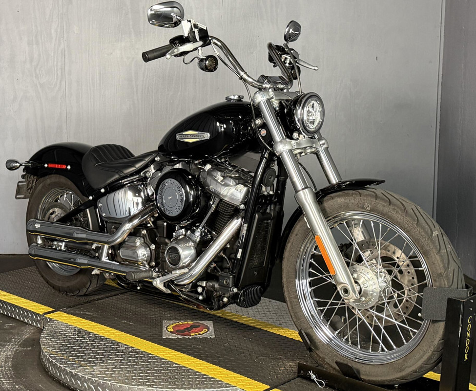 Softail® Standard