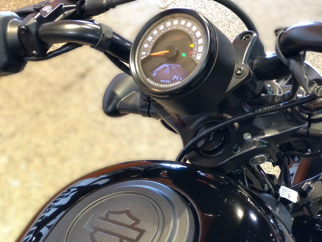 Nightster