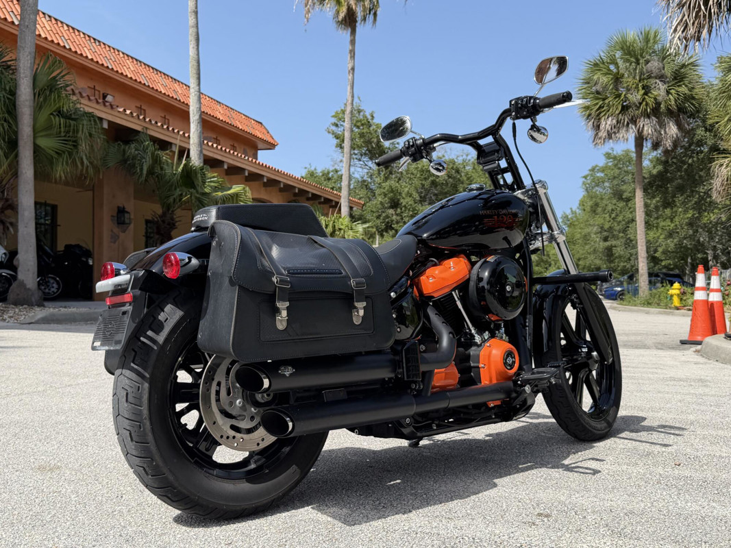 Softail® Standard