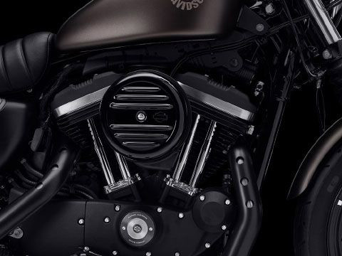 Iron 883®