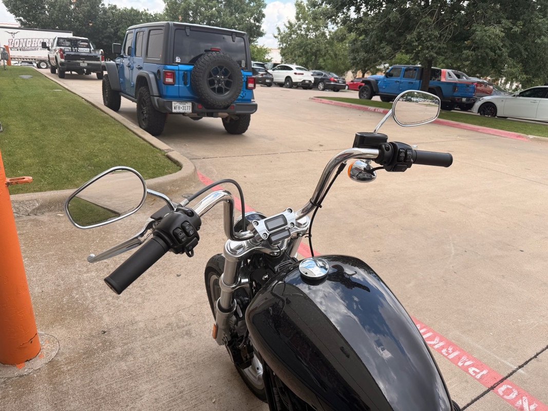 Softail® Standard