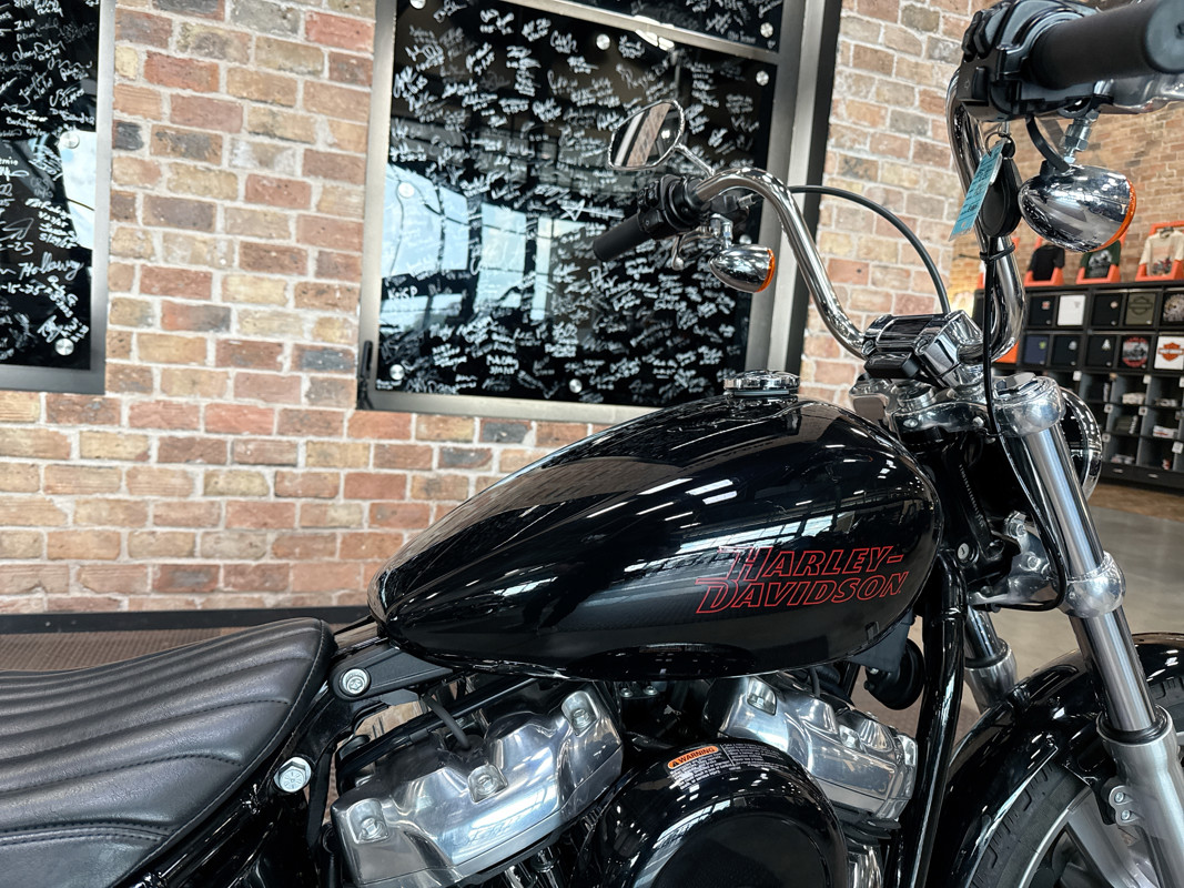 Softail® Standard