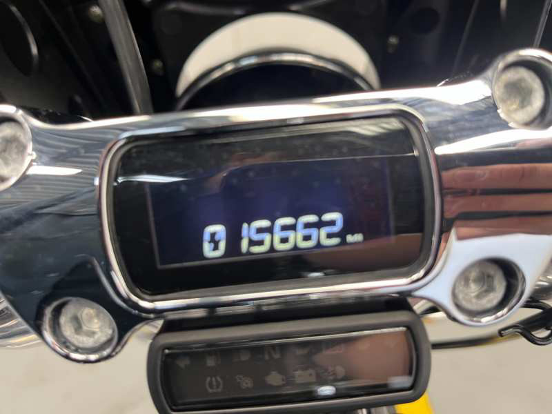 Softail® Standard
