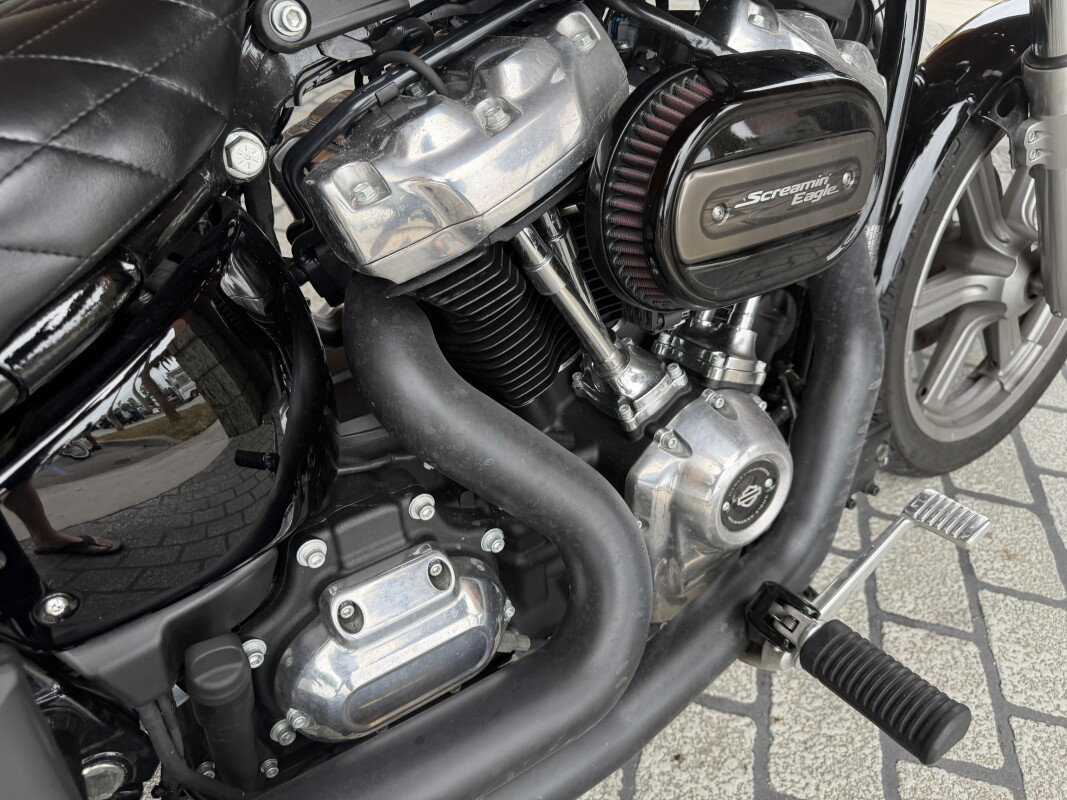 Softail® Standard