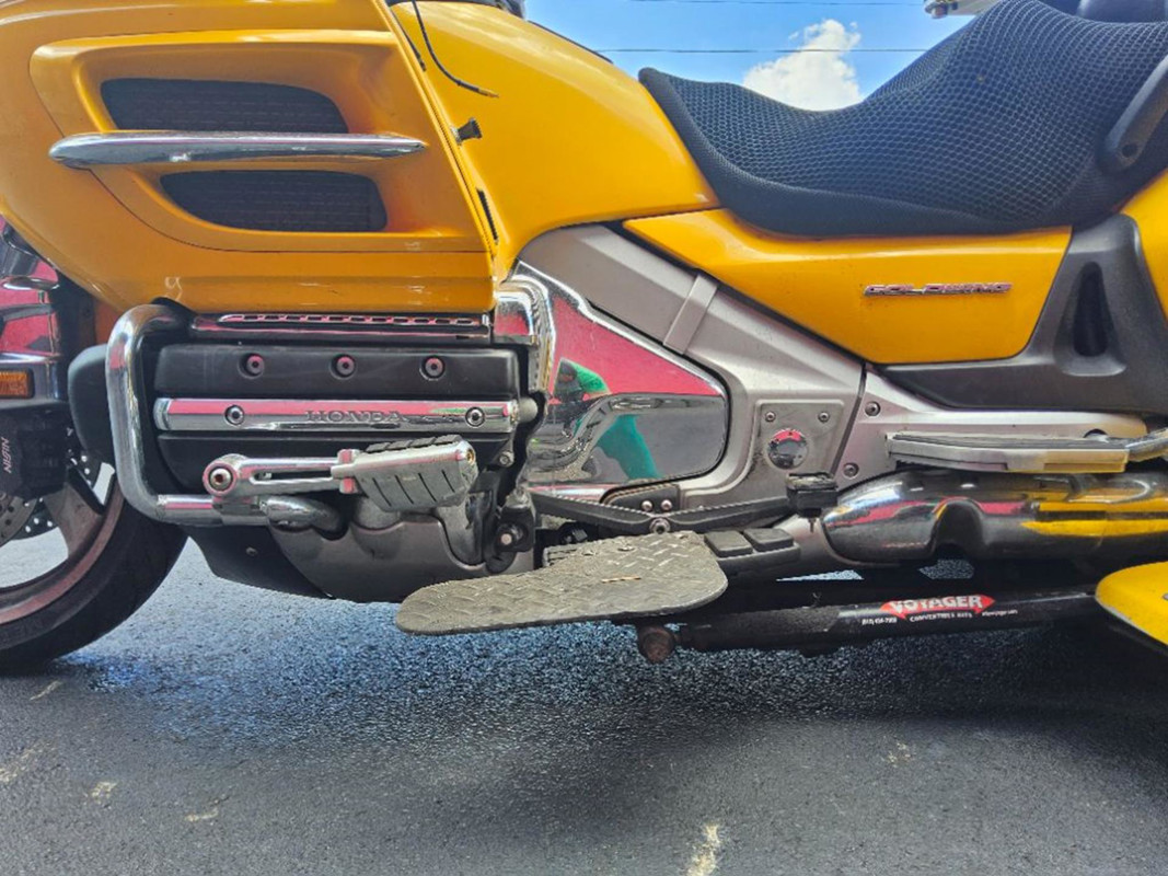 Gold Wing