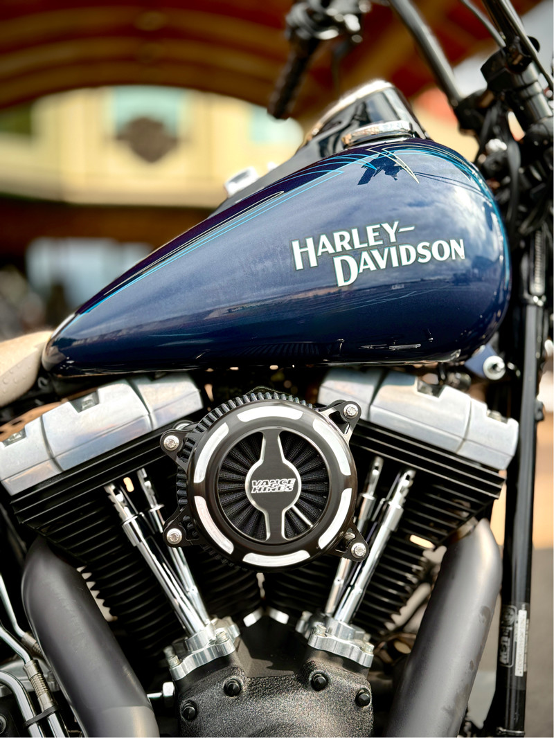 Softail® Cross Bones®