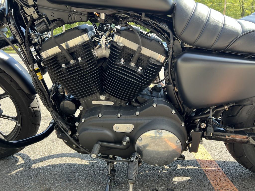 Iron 883®