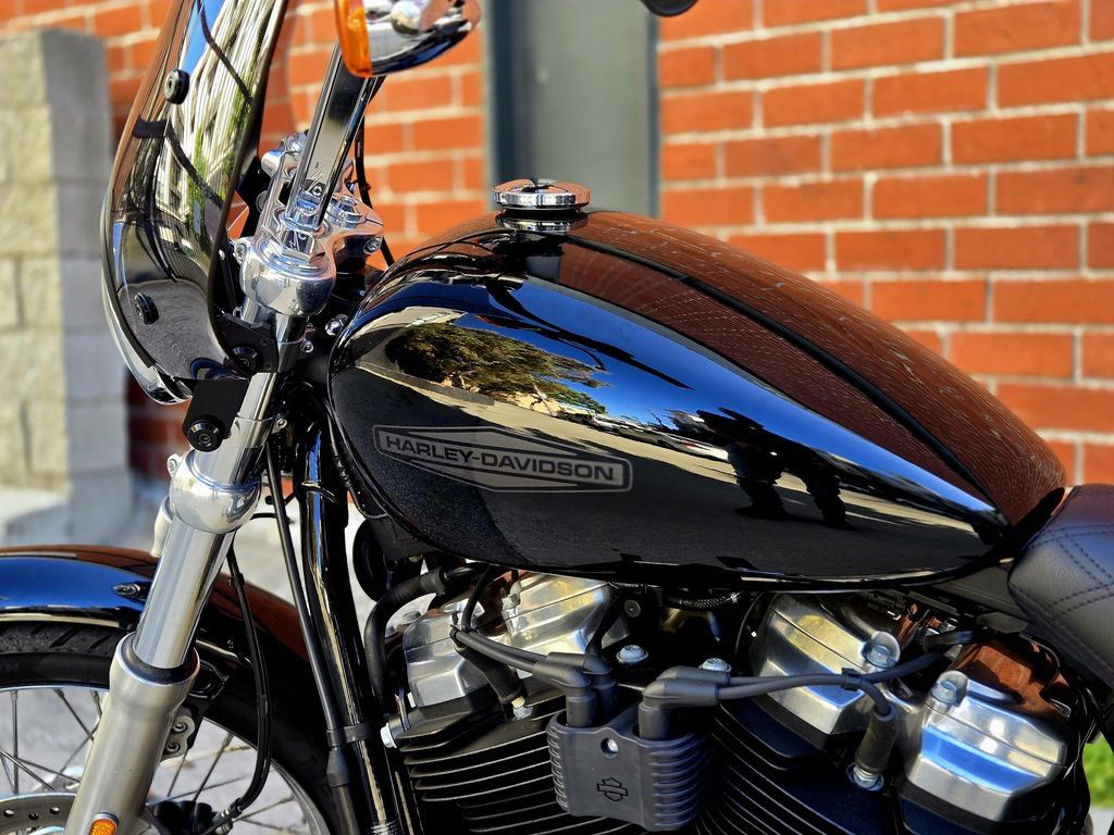 Softail® Standard