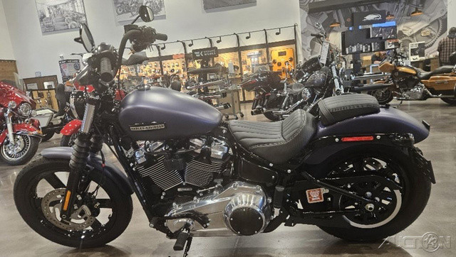 Street Bob®