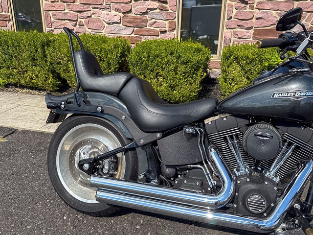 Softail® Night Train®