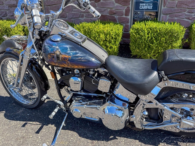 Springer® Softail®