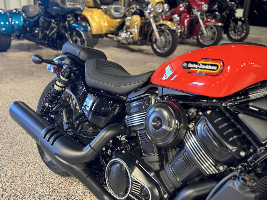 Nightster Special