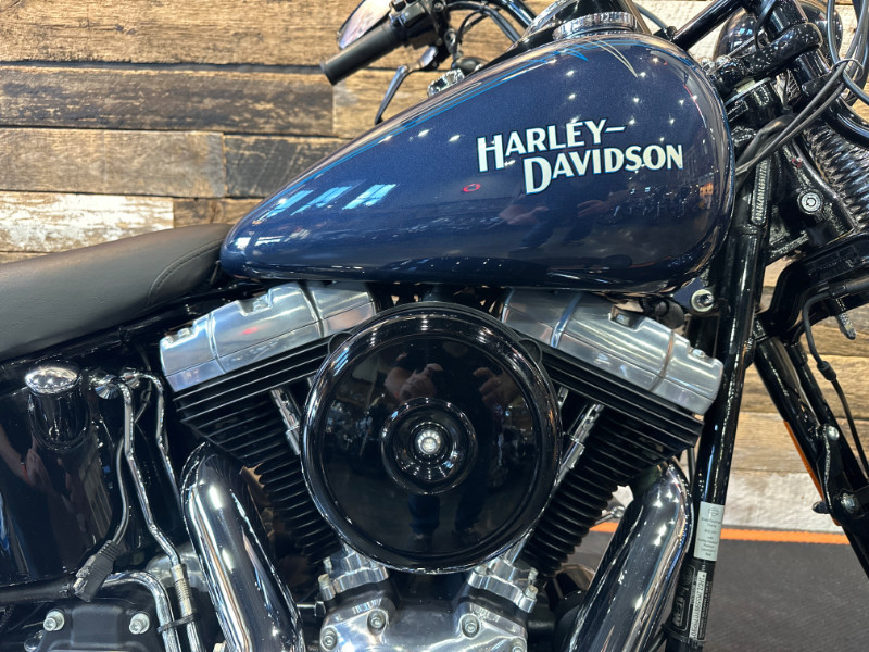 Softail® Cross Bones®