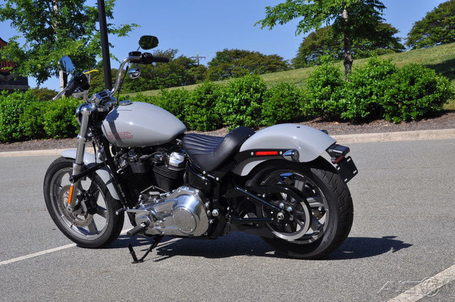 Softail® Standard