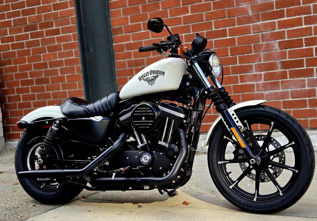 Sportster® Iron 883®