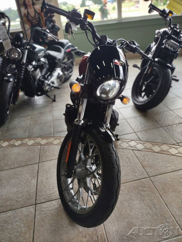Nightster