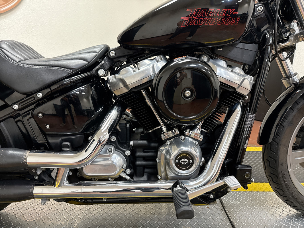 Softail® Standard