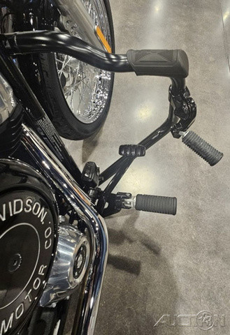 Softail® Standard