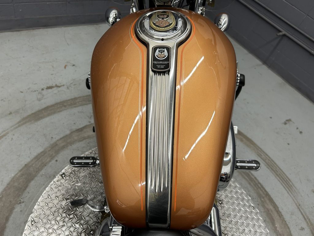 Sportster® 1200 Custom Anniversary