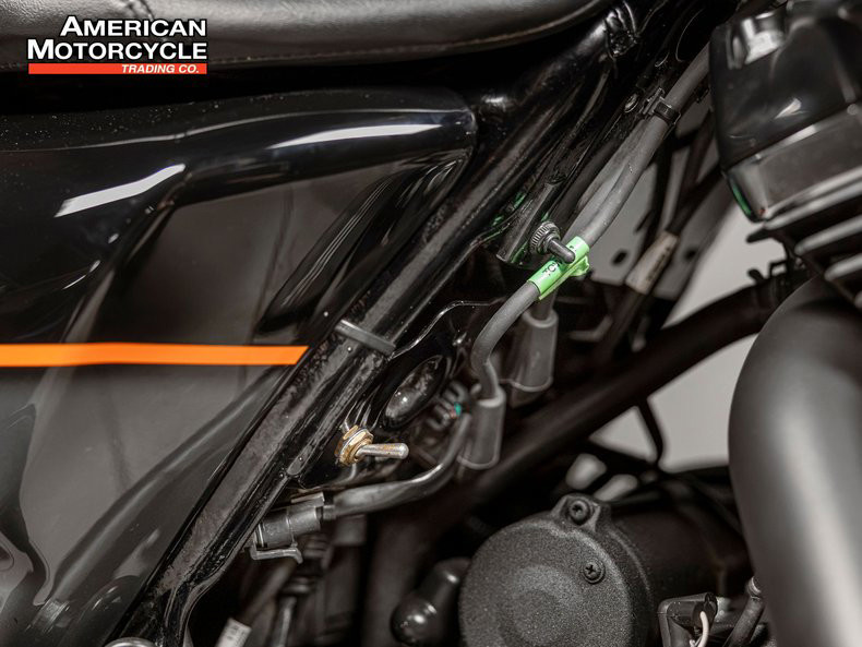 Road King® Special