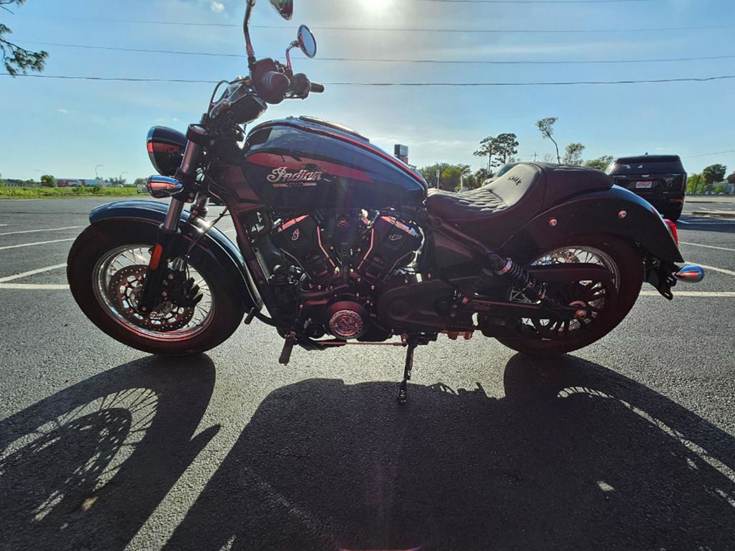 Scout Classic Limited