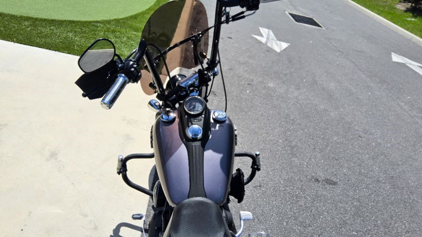Dyna® Street Bob®