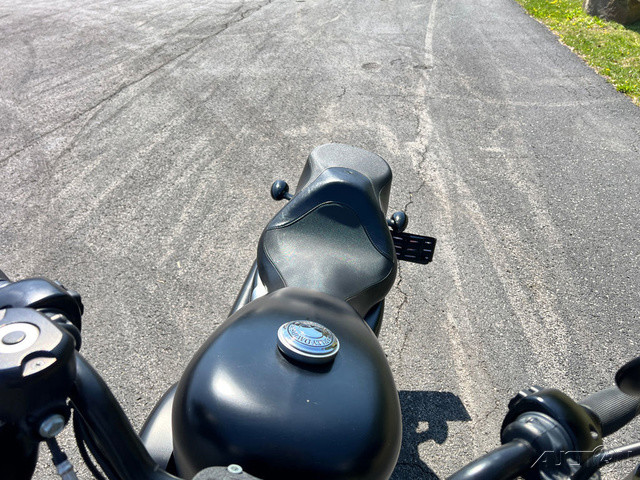 Sportster® Iron 883®