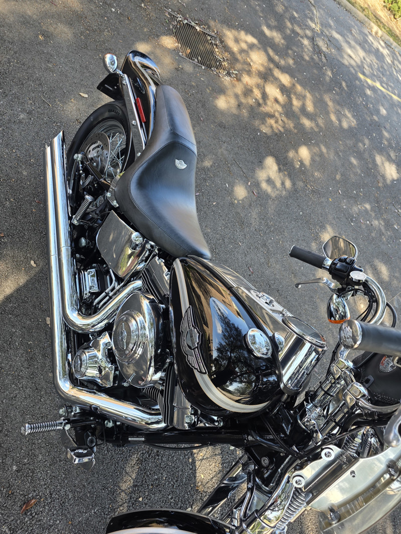 Springer® Softail® Anniversary