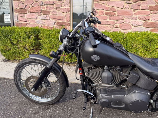 Softail® Night Train®