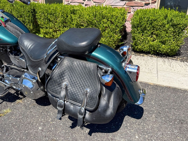 Softail® Springer® 