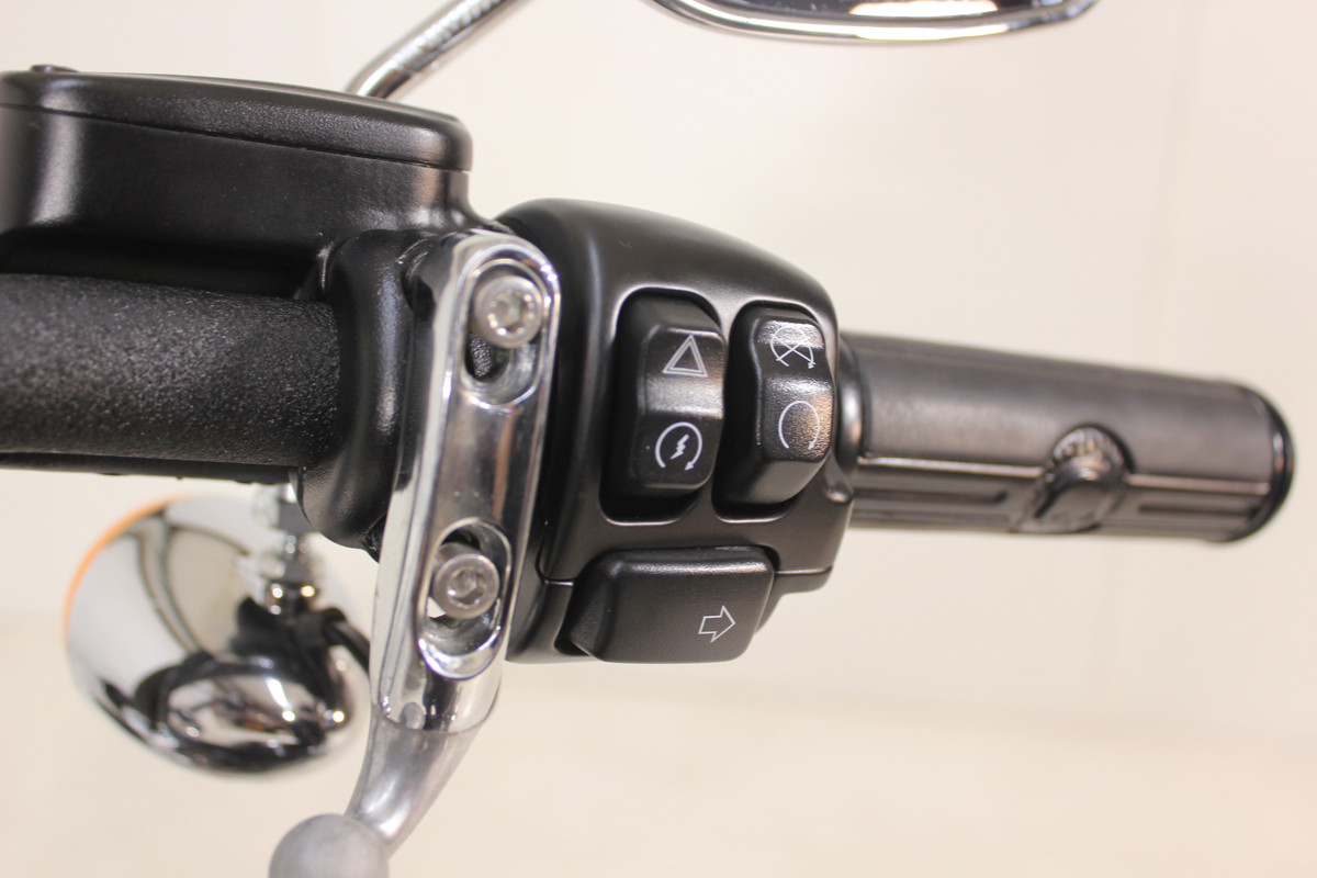 Softail® Standard