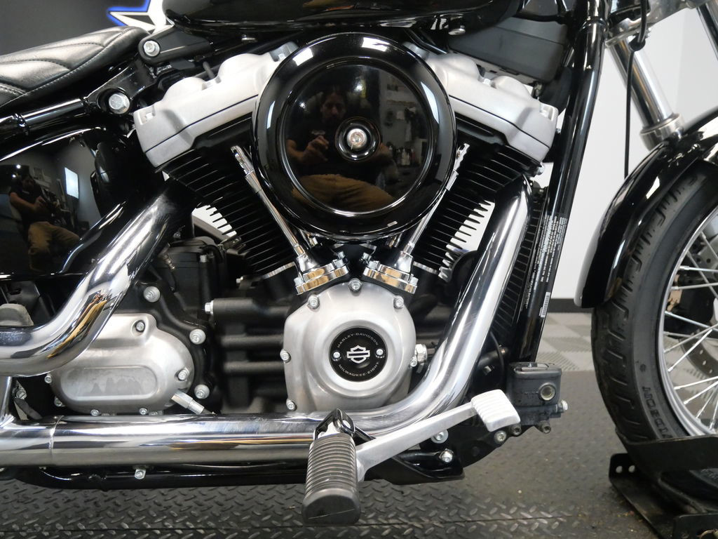 Softail® Standard