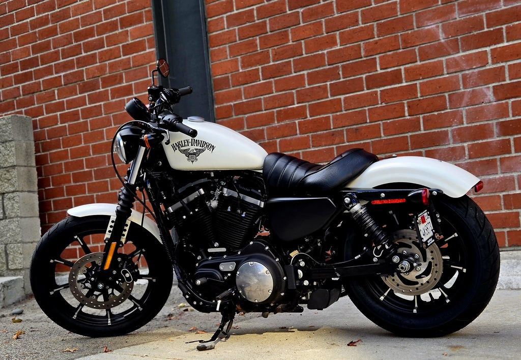 Sportster® Iron 883®