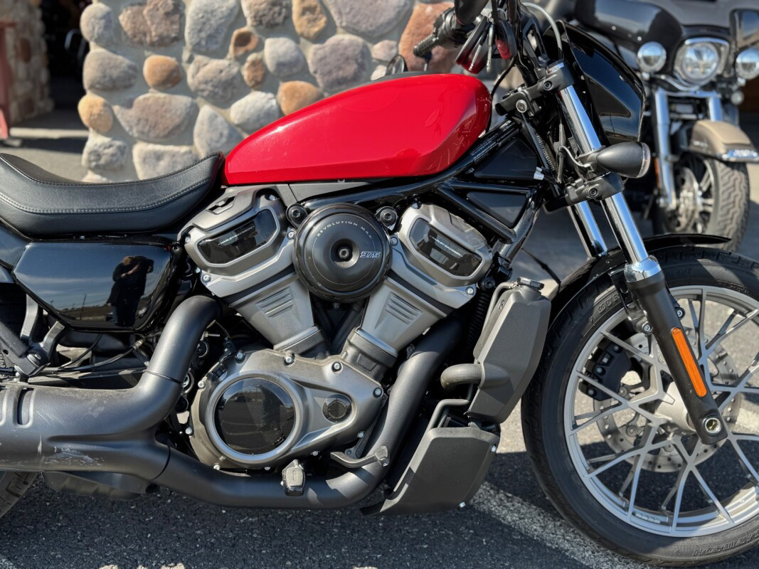 Nightster Special