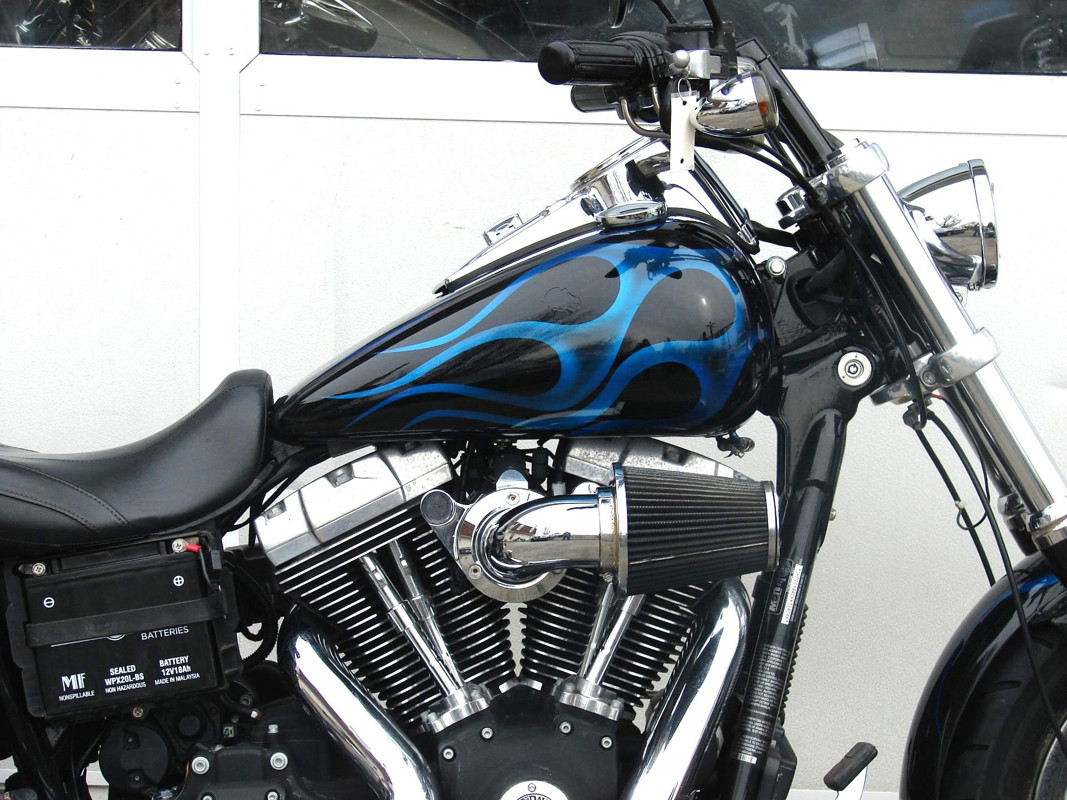 Dyna® Fat Bob