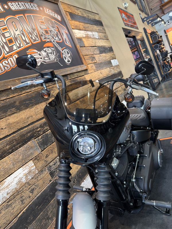 Street Bob®