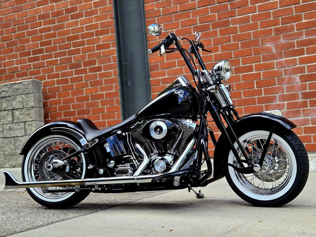 Softail® Springer® Classic